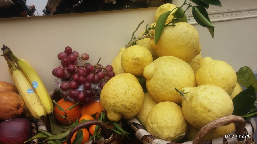 לימונים בגודל פומלות